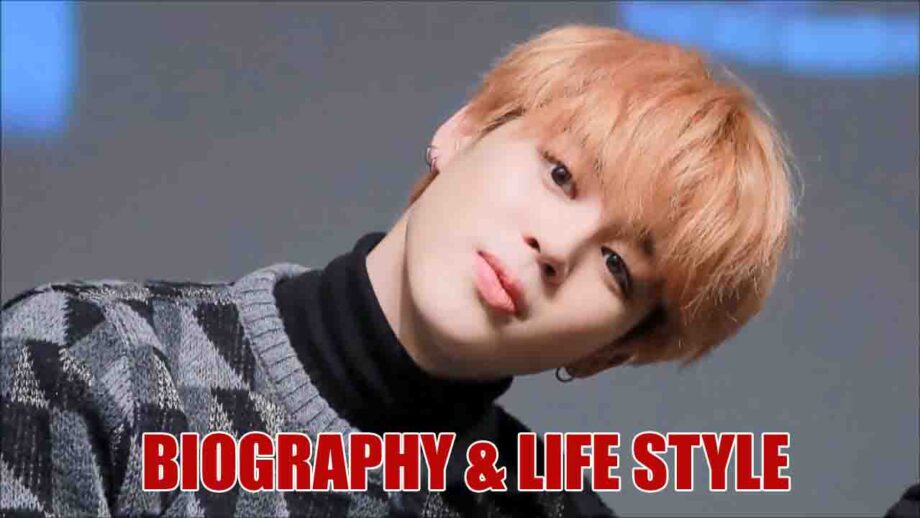 Check Out! BTS Jimin's Biography and Lifestyle