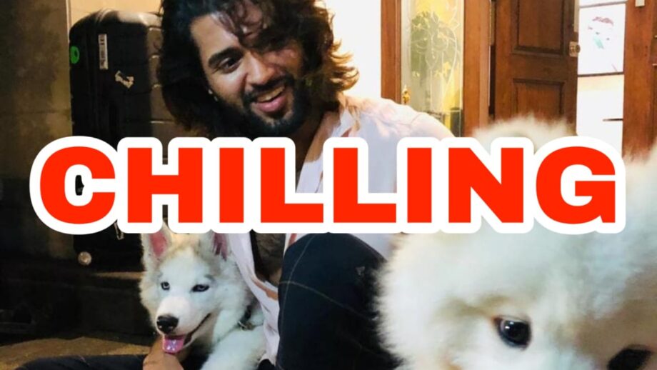 'Chilling with these boys' - Vijay Deverakonda's adorable photo with Storm & Chester is setting the internet on fire