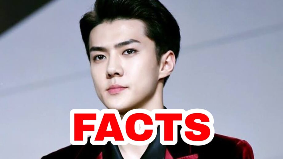 Everything You Should Know About EXO's Sehun