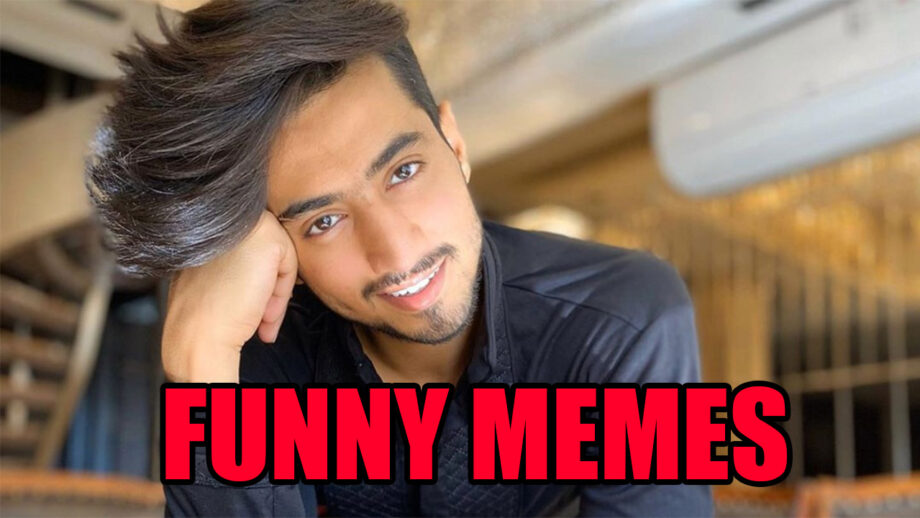 Faisu's Funniest Memes That Went Viral On Internet