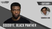 Goodbye, Black Panther