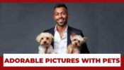 Hardik Pandya's Adorable Pictures With His Pets