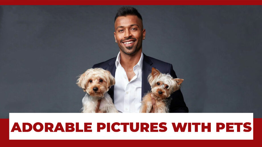 Hardik Pandya's Adorable Pictures With His Pets