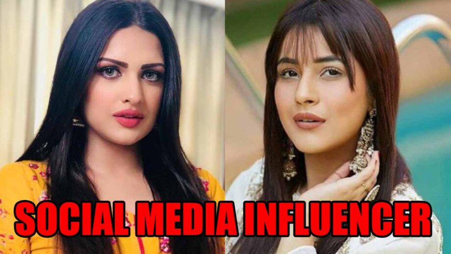 Himanshi Khurana Vs Shehnaaz Gill: The Biggest Social Media Influencer?