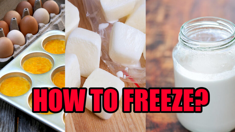 How To Freeze Cheese, Milk, Yogurt, And Eggs?