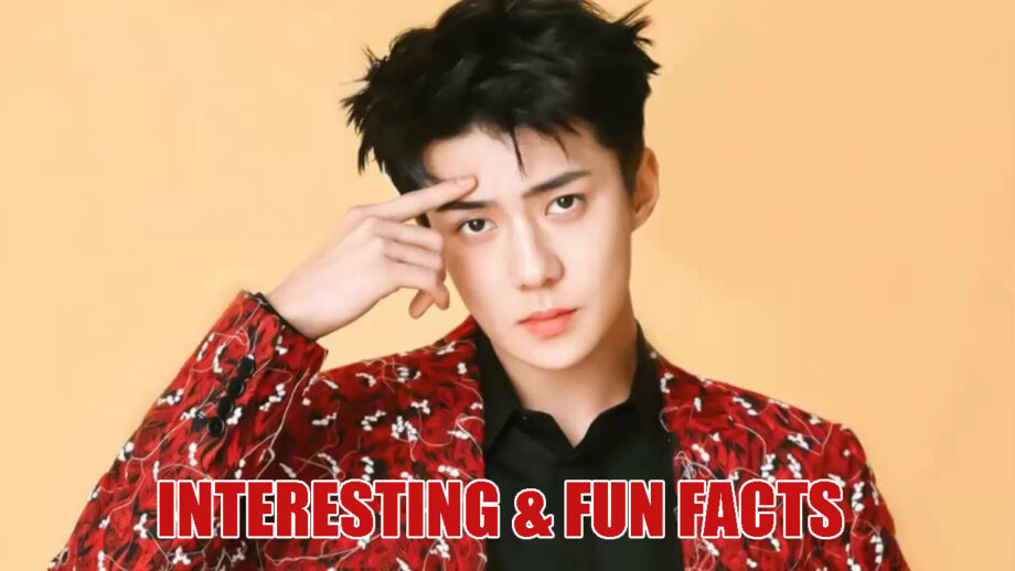 Interesting & Fun Facts About Exo's Sehun