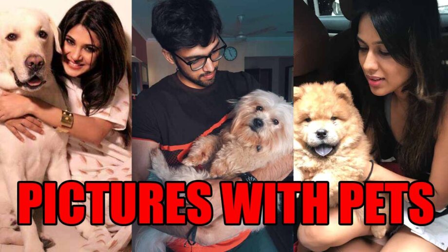 Jennifer Winget, Parth Samthaan, Nia Sharma: TV Celebrities And Their Pictures With Cute Pets Will Make You Smile