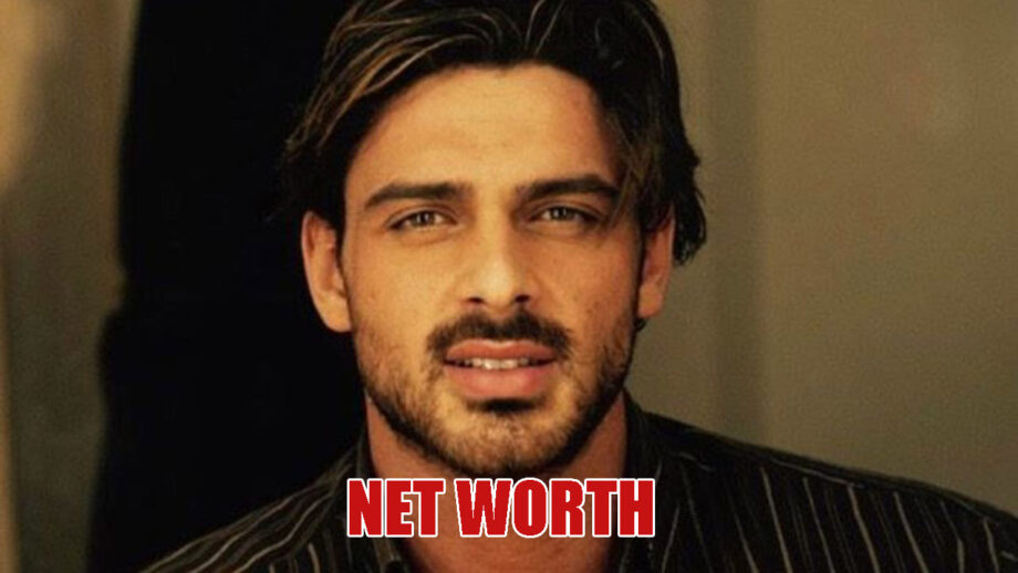 Michele Morrone's Net Worth Will Stagger You