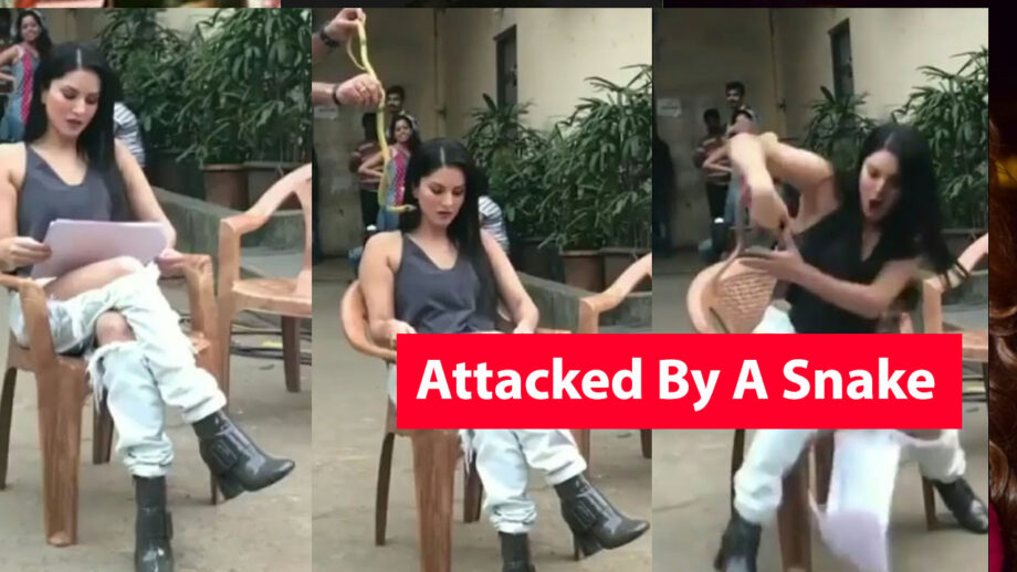 OMG: When She was attacked by a snake | IWMBuzz