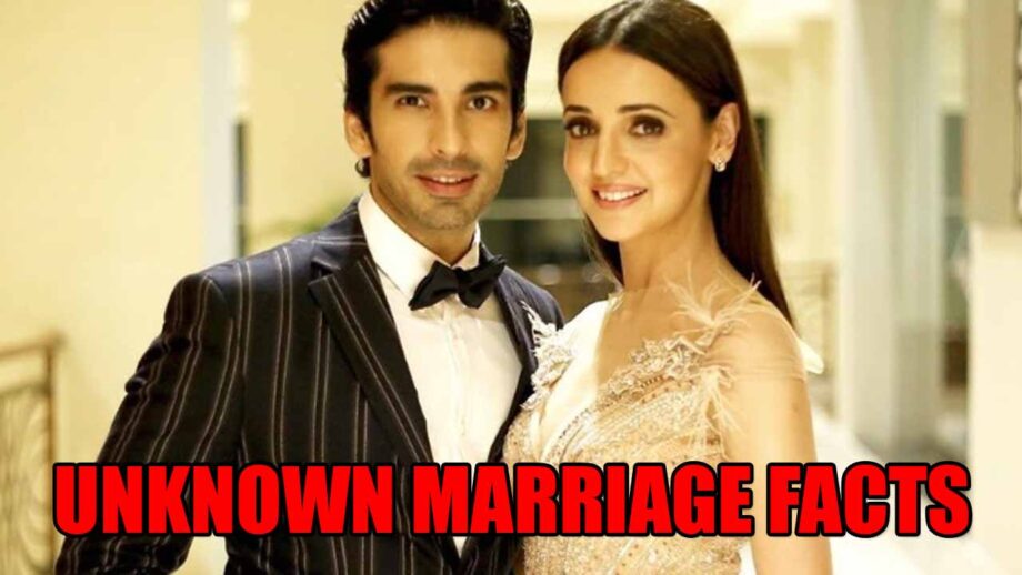 Sanaya Irani and Mohit Sehgal unknown marriage facts 
