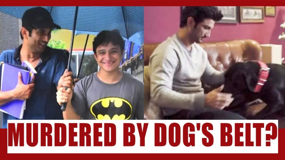 Shocking claim in Sushant Singh Rajput case by ex personal assistant: Murdered with his dog's belt