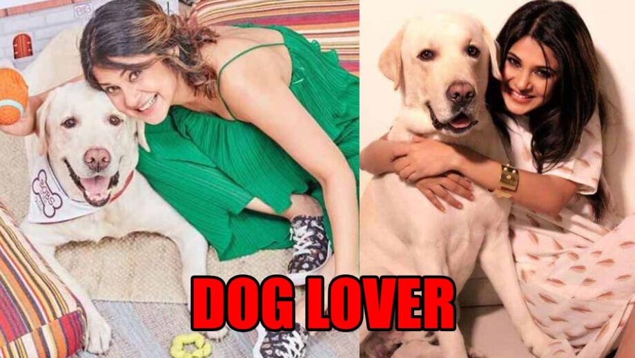 These Instagram Pictures Proved Jennifer Winget Is An Avid Dog Lover