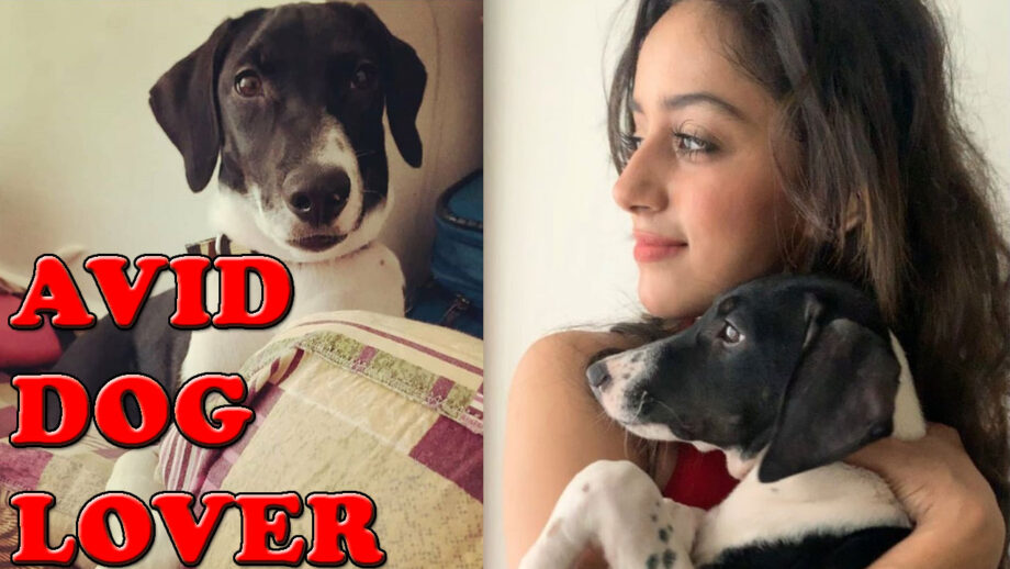 These Instagram Pictures Proved Yeh Hai Chahatein Fame Sargun Kaur Luthra Is An Avid Dog Lover