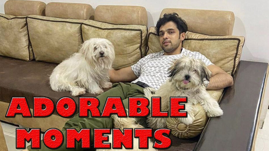 These Parth Samthaan's Funny Instagram Moments Will Make You Laugh