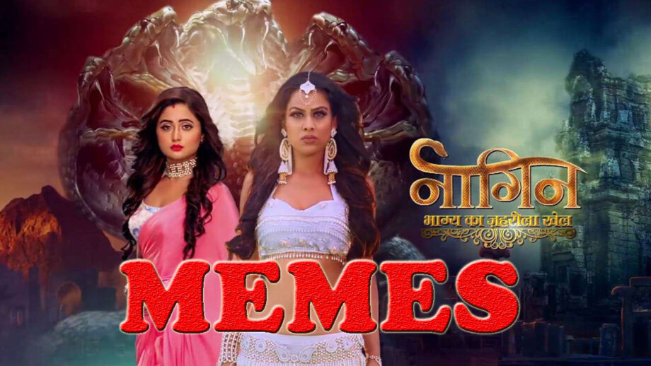 Top 5 Memes On Naagin Show That You Can't Forget In Your Life 5
