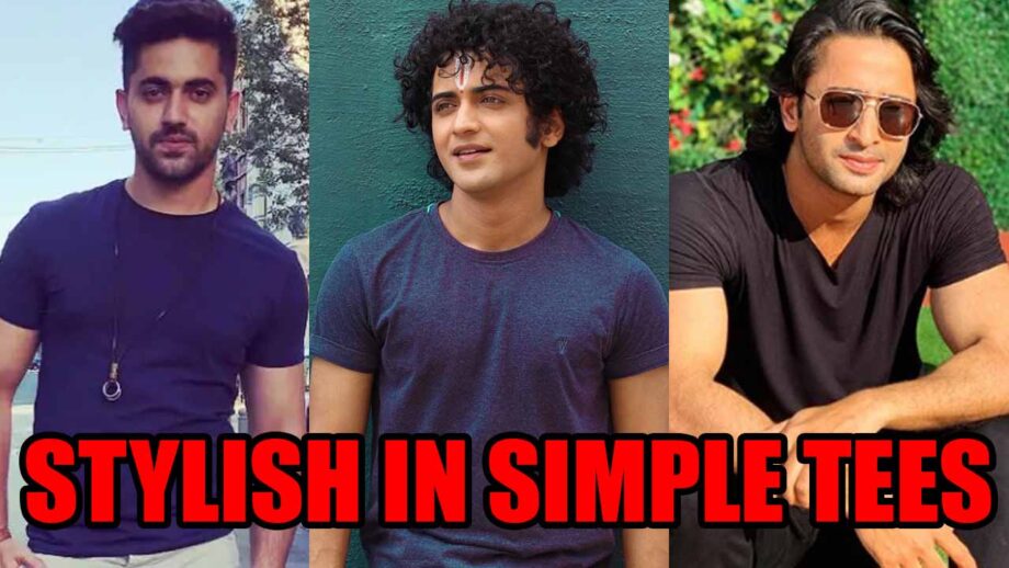 Want Stylish Look In Simple Tees? Take Inspiration From Zain Imam, Sumedh Mudgalkar And Shaheer Sheikh 2