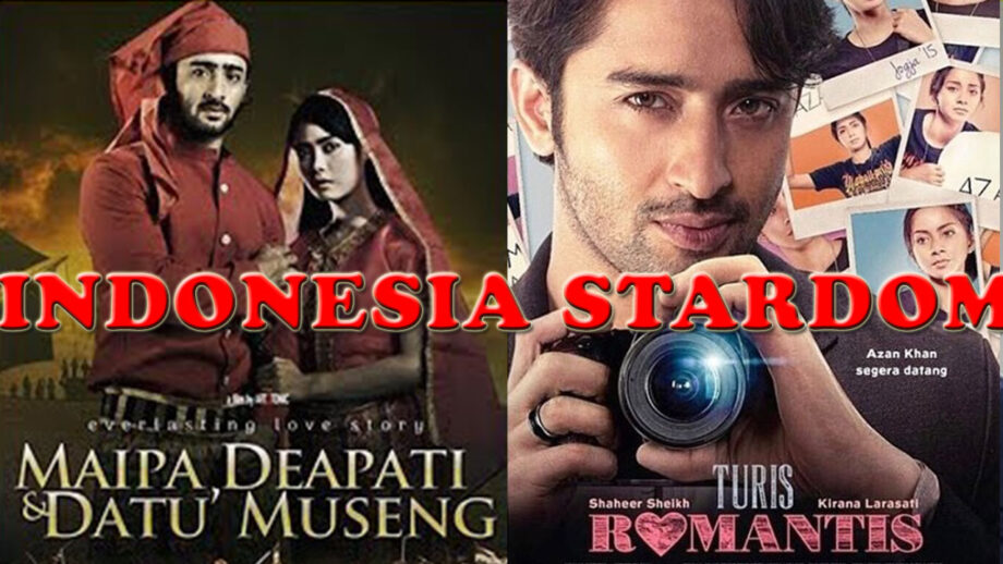 Are You A Big Fan Of Shaheer Sheikh? Must Watch These Indonesian Movies And Shows