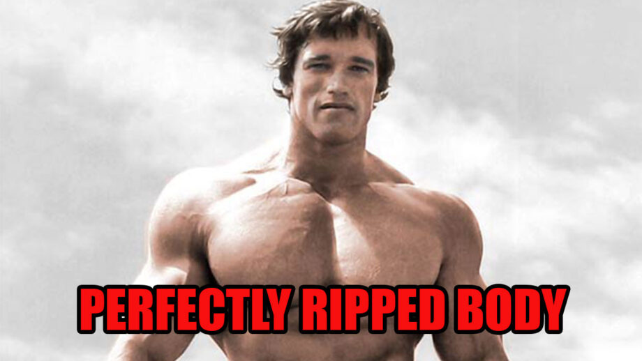 Arnold Schwarzenegger's Perfectly Ripped Body Is Mesmerizing 6