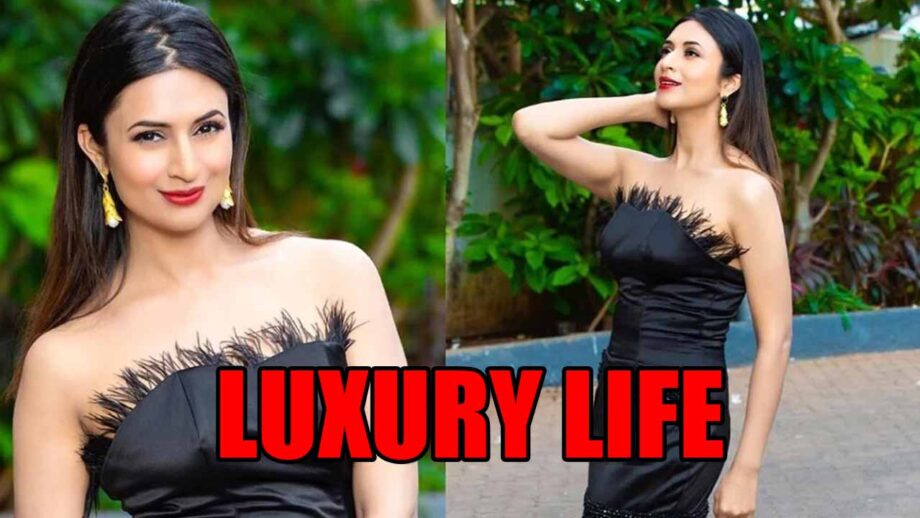 Details Of Divyanka Tripathi's Luxury Life!