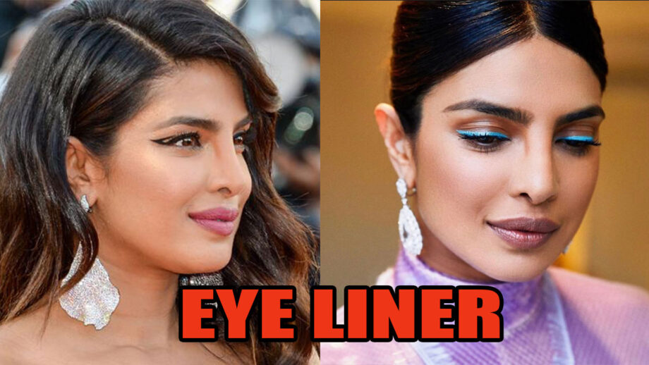 Have You Checked Priyanka Chopra's Different Styles To Match Eyeliner With Outfits? 8