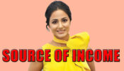 Here’s The Biggest Source of Income for Hina Khan