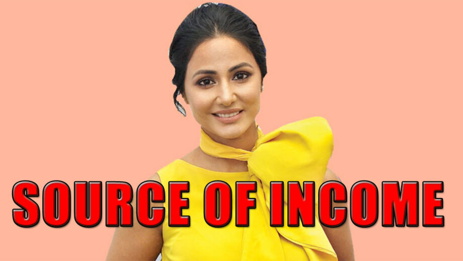 Here’s The Biggest Source of Income for Hina Khan