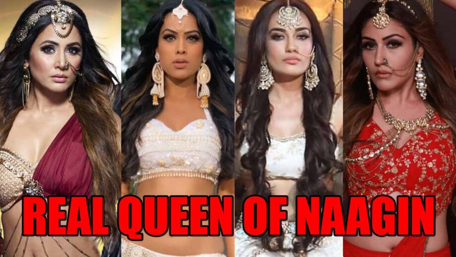 Hina Khan VS Nia Sharma VS Surbhi Jyoti VS Surbhi Chandna: The real queen of Naagin?