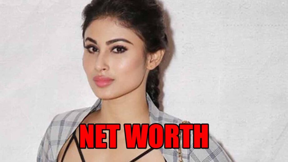 How Rich Is Mouni Roy?