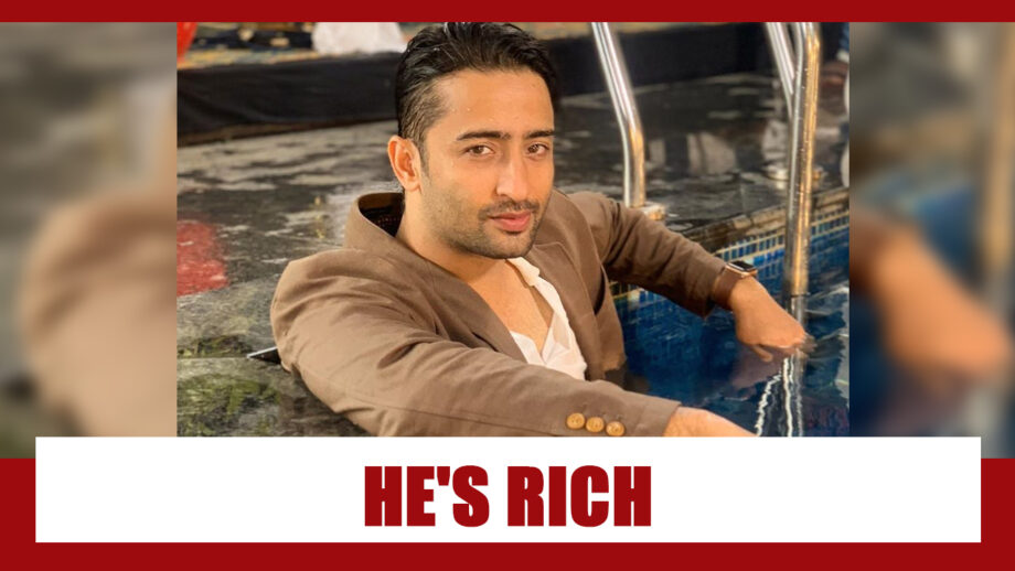 How Rich Is Shaheer Sheikh?