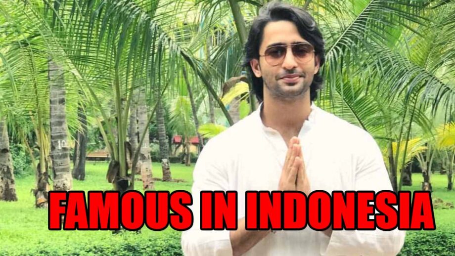 How Shaheer Sheikh became famous In Indonesia?