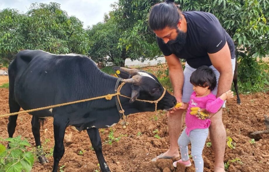 K. G. F. star Yash' wife Radhika Pandit shares a capture from their time at their farmhouse
