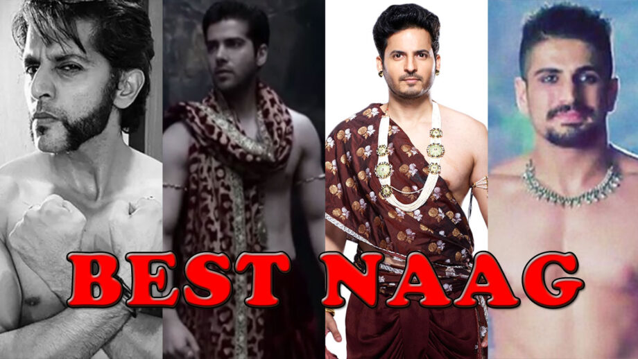 Mohit Malhotra VS Rajat Tokas VS Karanvir Bohra VS Kinshuk Mahajan: The Better NAAG From Naagin Series
