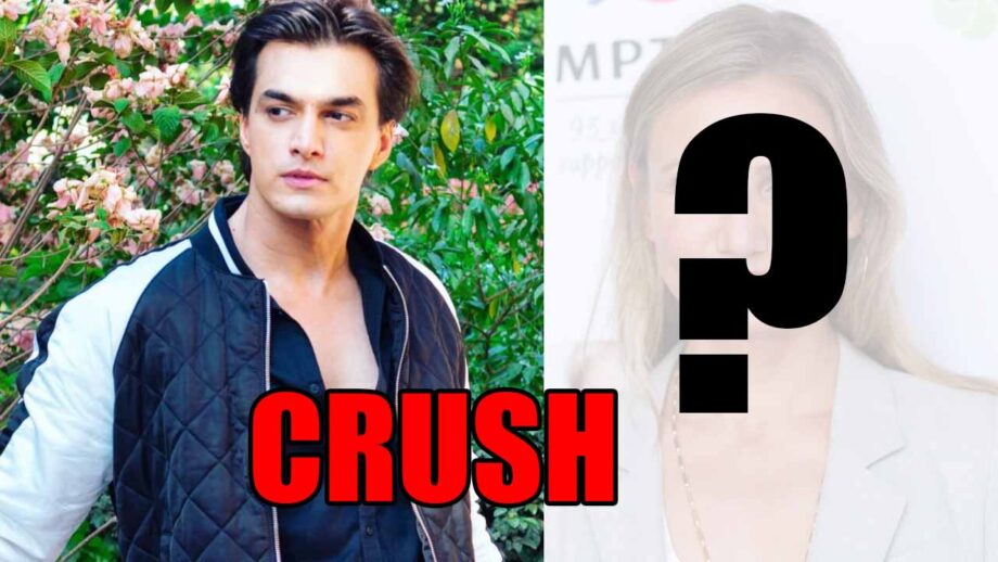 Mohsin Khan CONFESSES Which Actress Was His Crush!