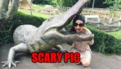 OMG: What is Sanaya Irani doing with a crocodile?