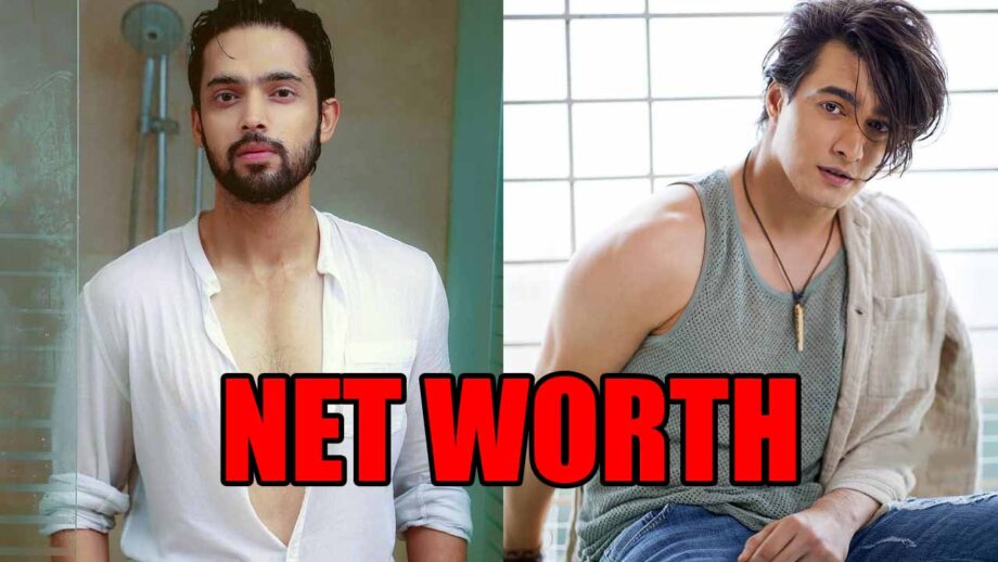 Parth Samthaan or Mohsin Khan: Whose net worth is more?