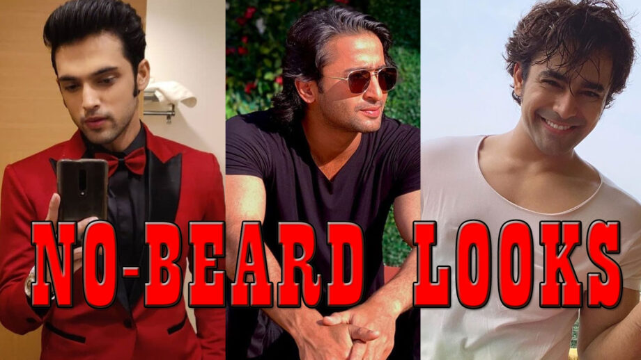 Parth Samthaan, Shaheer Sheikh, Pearl V Puri: Pick Your Favourite Look Without Beard