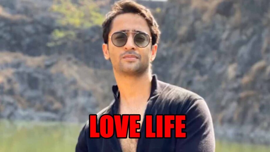 REVEALED! Shaheer Sheikh And His SECRET Love Life