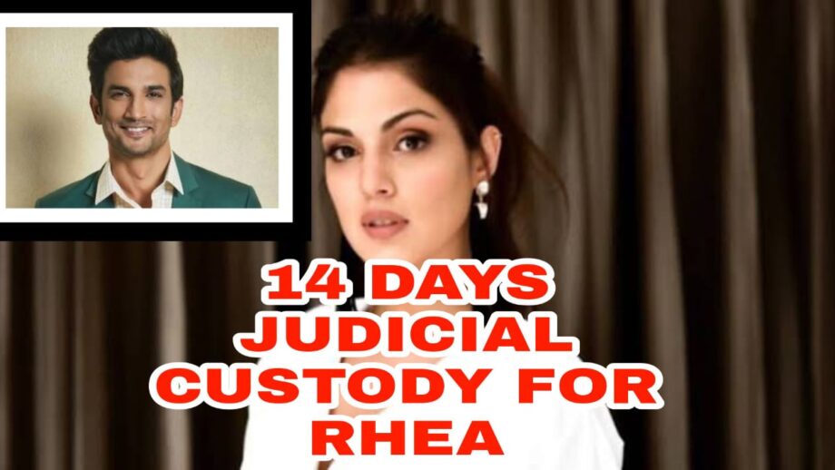 Rhea Chakraborty Arrest: 14 days judicial custody for Rhea Chakraborty, bail plea rejected