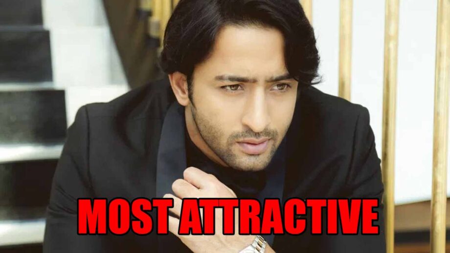 Shaheer Sheikh: The Most Attractive Asian Celebrity Of 2020