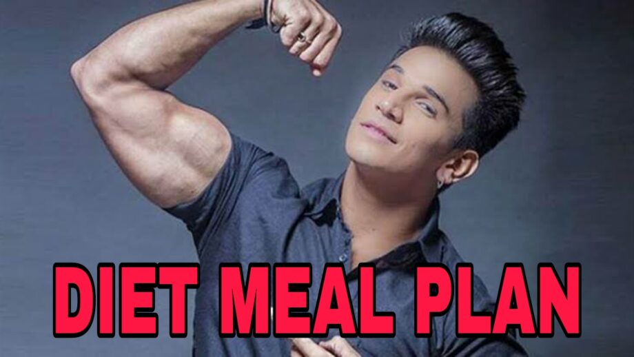 The Diet Meal Of Prince Narula REVEALED 1