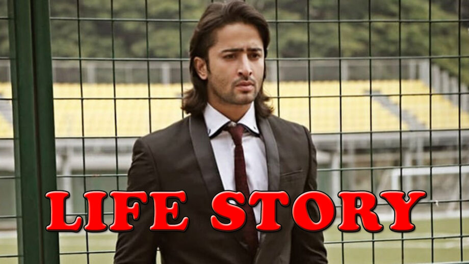 The Life Story Of Shaheer Sheikh's 11 Year-Long Career
