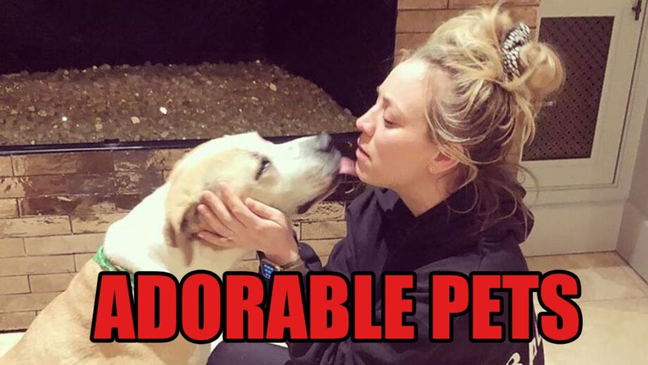 The story of Kaley Cuoco, their adorable pets