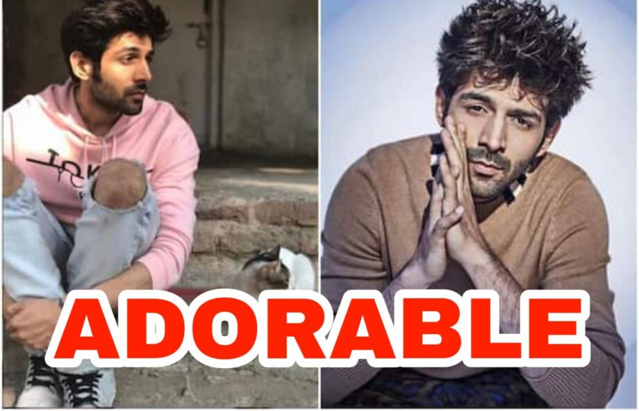 'Tom & Jerry waiting for vaccine' - Kartik Aaryan's adorable pose with a cat is absolutely hilarious