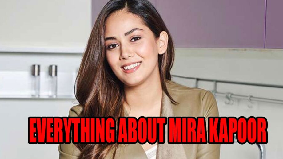 Who Is Mira Kapoor? Know Everything About Shahid Kapoor's Wife