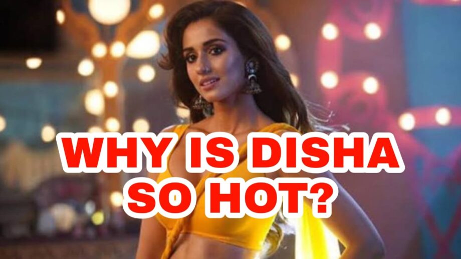 Why Is Disha Patani So Hot?