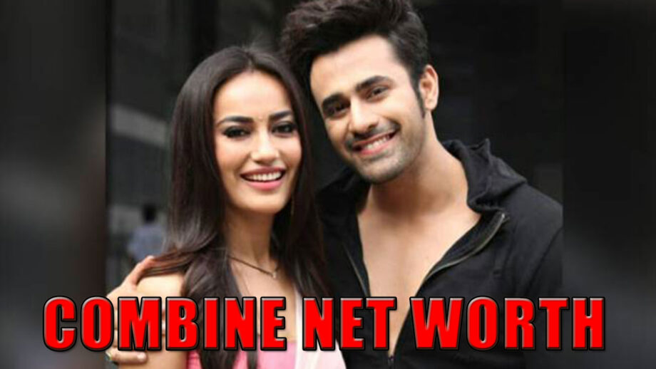 Wow: Combined Net Worth Of Naagin Star Pearl V Puri And Surbhi Jyoti Will Shock You