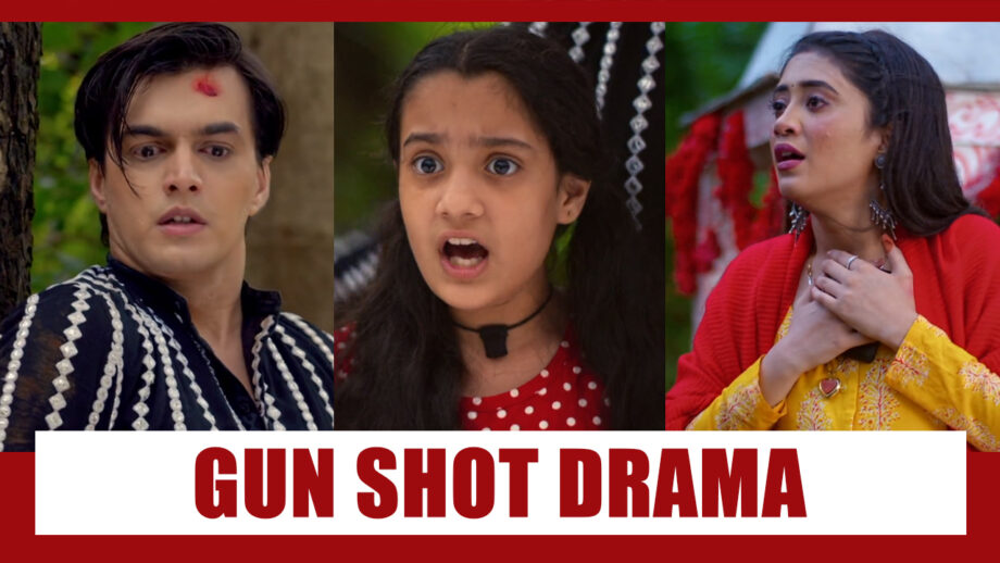 Yeh Rishta Kya Kehlata Hai Spoiler Alert: Gun shot drama to create intrigue