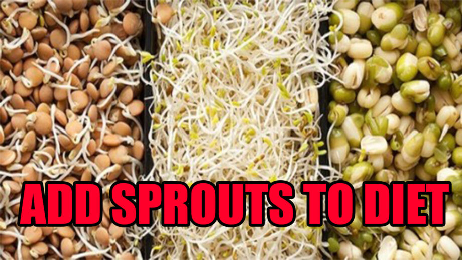 Add Sprouts To Your Daily Diet For Perfect Health