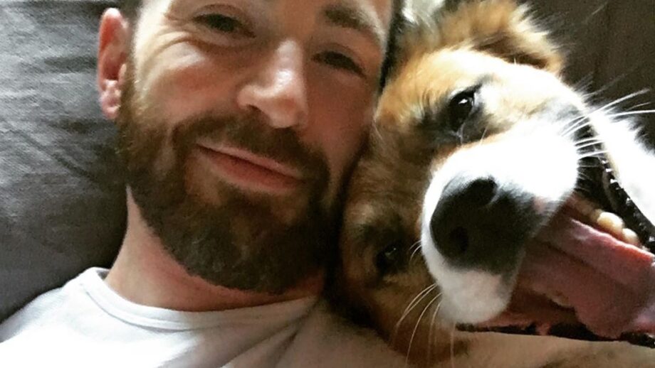 ADORABLE: Captain America fame Chris Evans shares a special selfie with his pet, fans go crazy