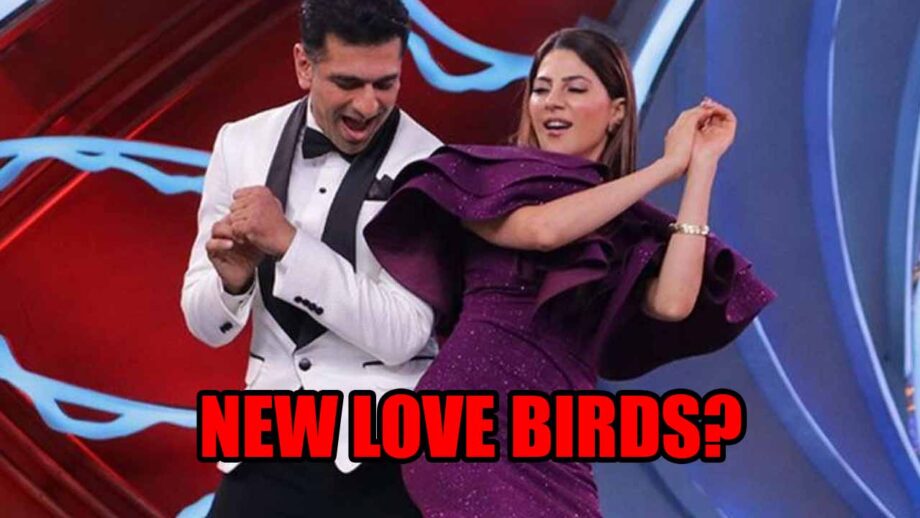 Are Eijaz Khan And Nikki Tamboli Next Bigg Boss 14 Love Birds?